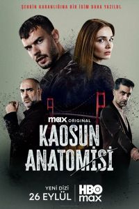 Анатомия хаоса. Сериал (2025)