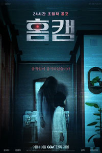 Домашняя камера (2025)