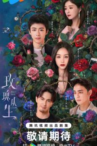 Цикада. Сериал (2026)