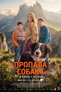 Пропала собака (2026)