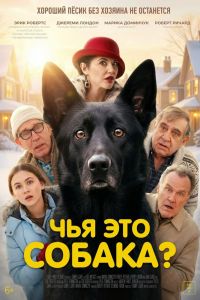 Чья это собака? (2025)